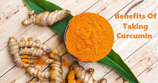 Benefits Of Taking Curcumin - BonAyu Health